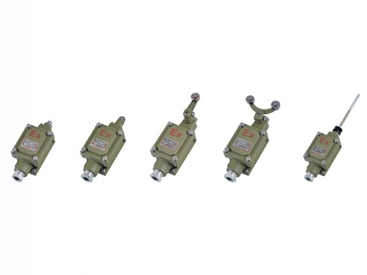 Super Lowest Price Explosion Proof Electrical - dLXK series Explosion-proof travel switch – Feice detail pictures